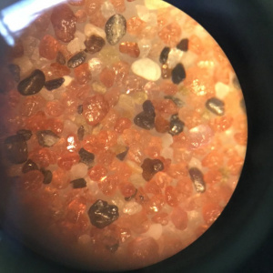 Observation de sable au microscope